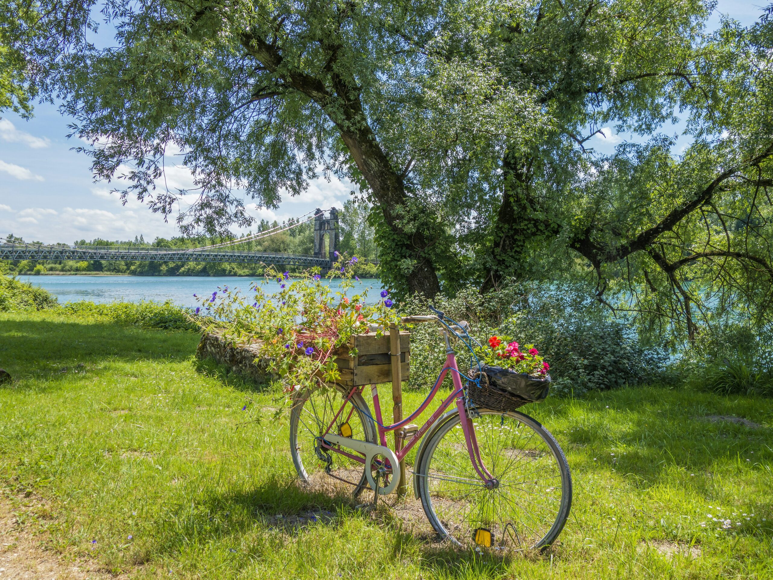 a bike with a basket of flowers on the back